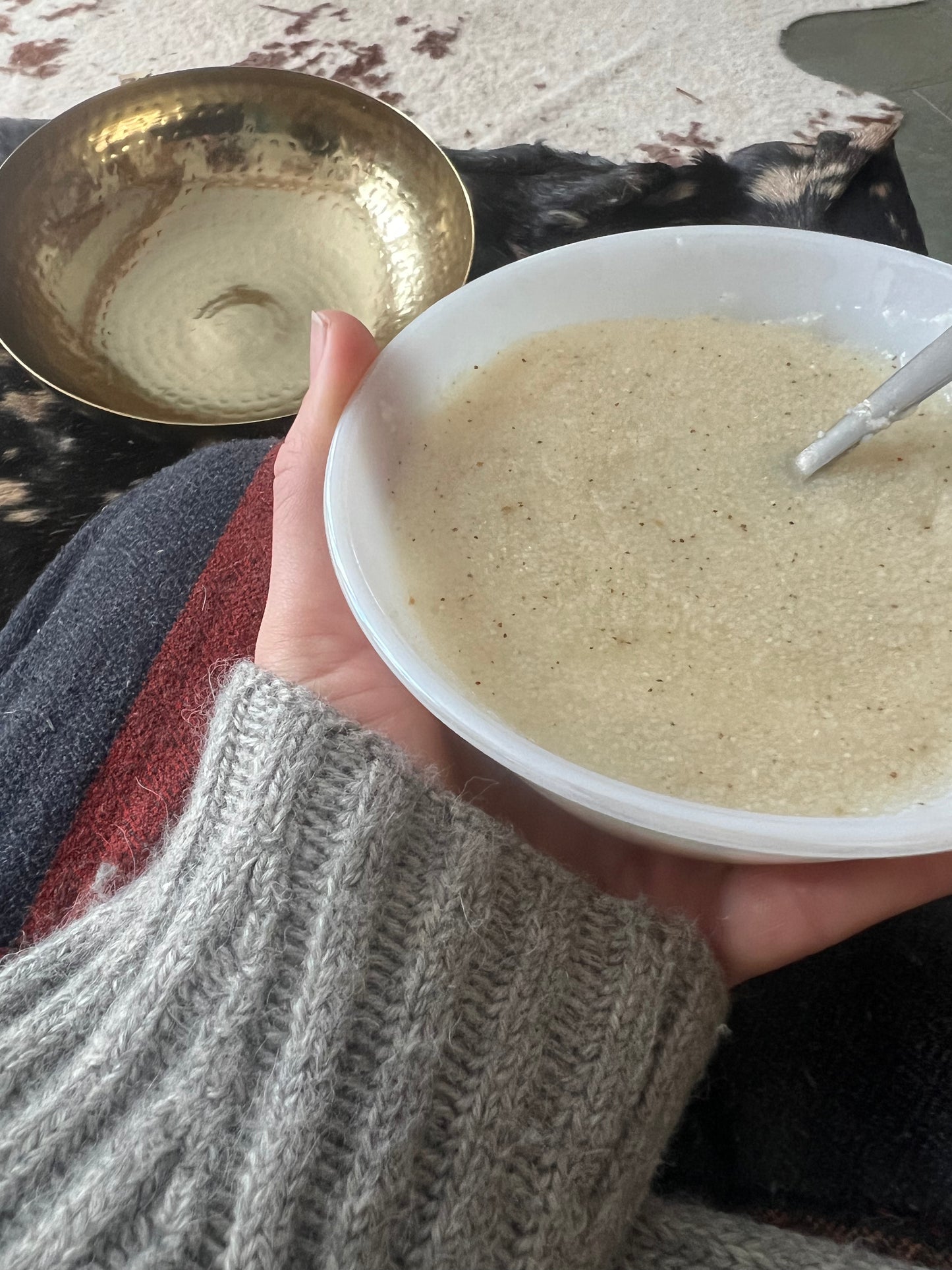 Organic Sorghum (Jowar) meal