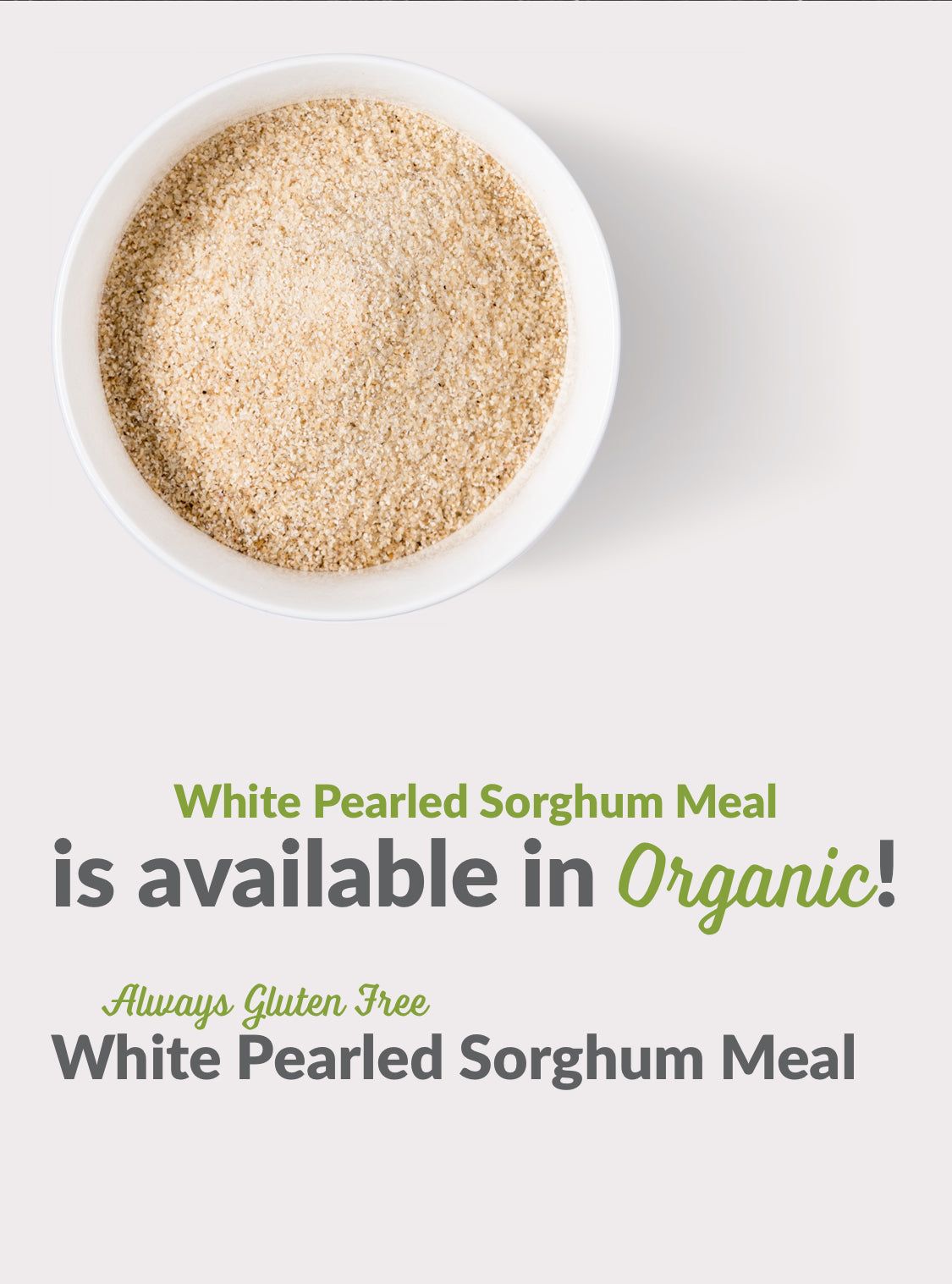 Organic Sorghum (Jowar) meal