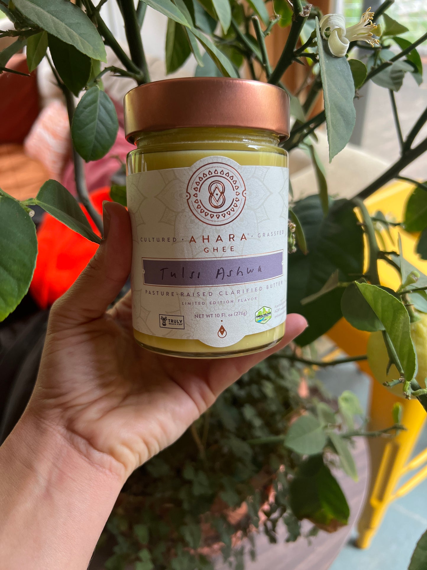 Tulsi Ashwaganda Ghee