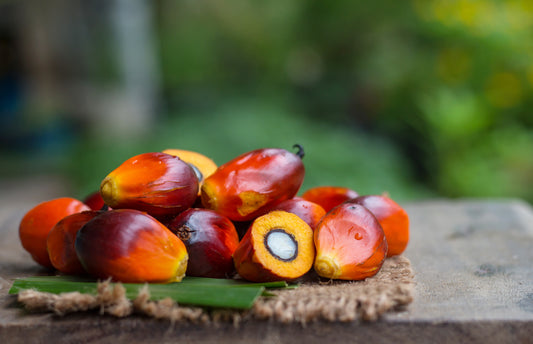 Palm Done Right® - Palm Oil: Conflict Palm vs. Sustainable Palm