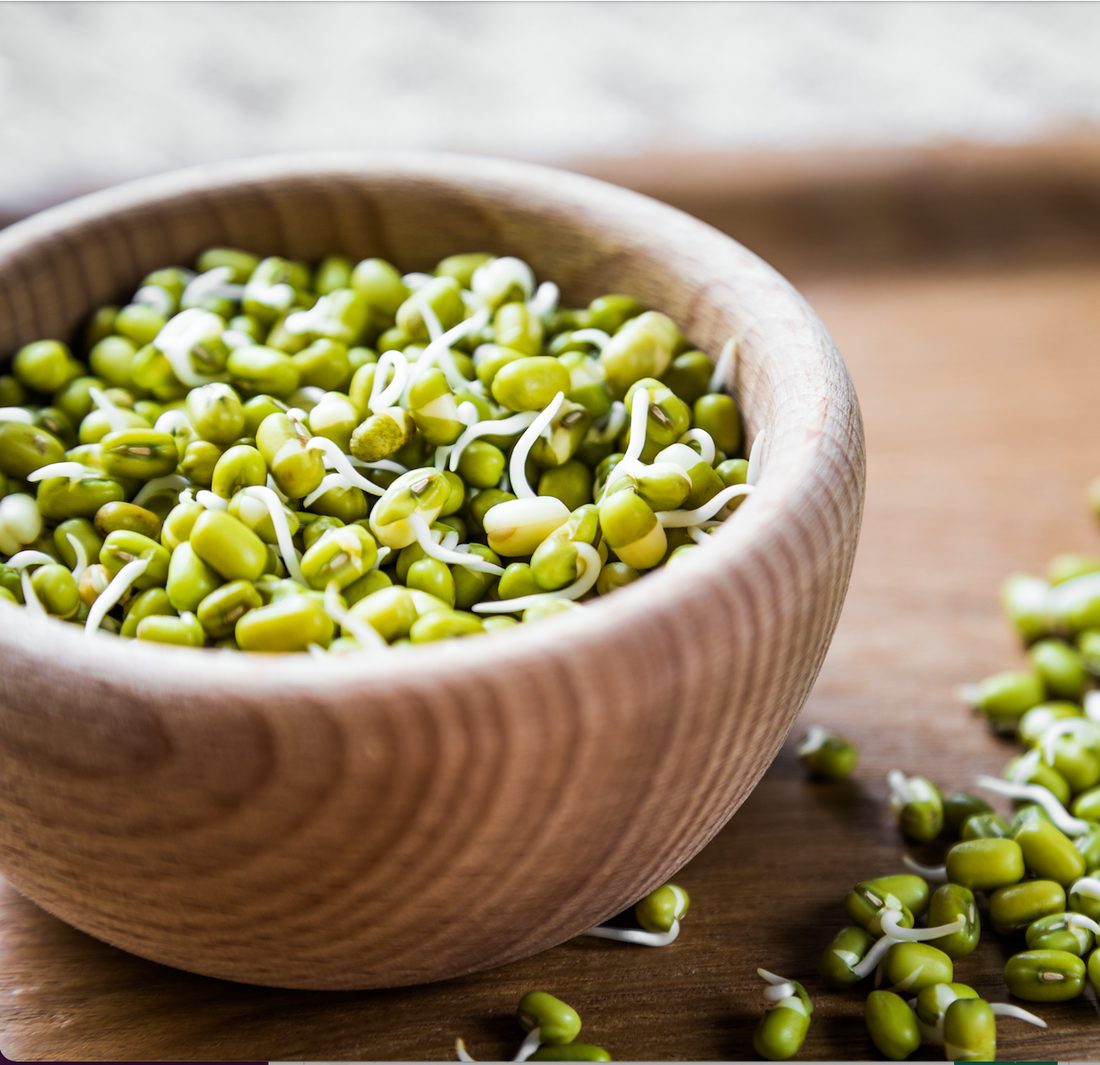 Soak or sprout, eat your beans free of Phytic Acid